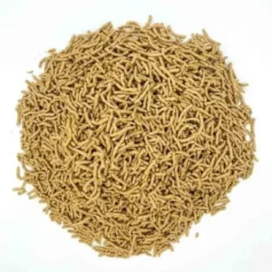 All Fibrous